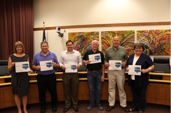 CV city councilsmaller version